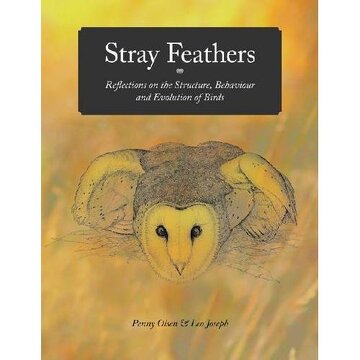 stray feathers portada stray feathers